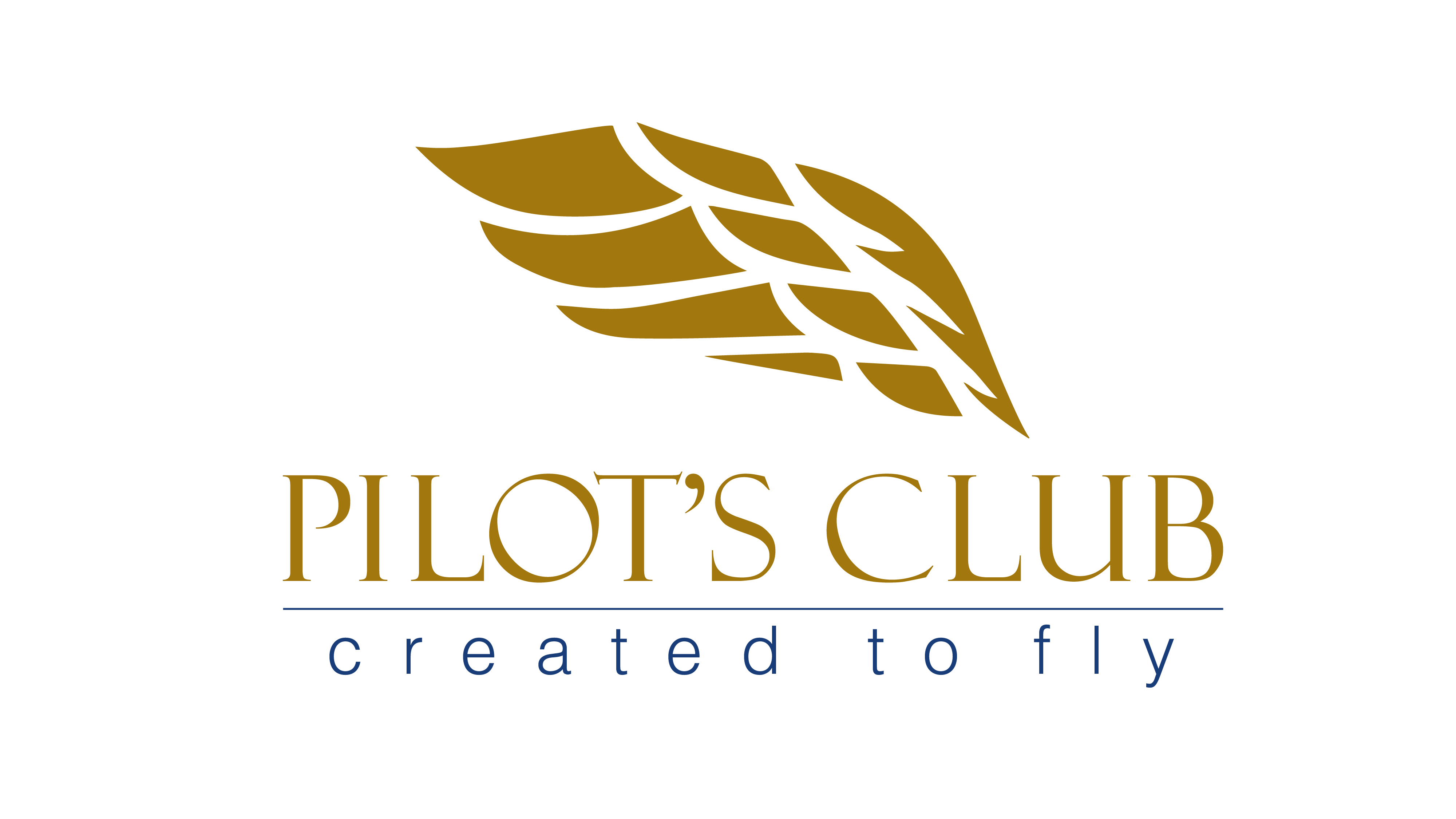 Pilot's Club created to fly